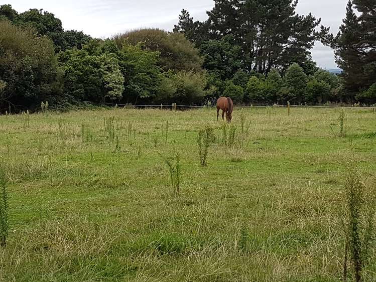 123 Riverbank Road Extension Otaki_6