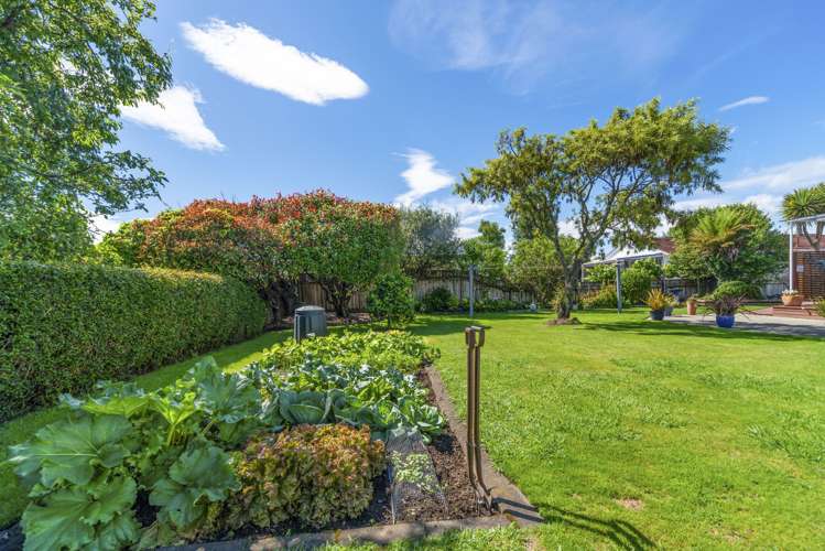 8 Paehoro Grove Turangi_15