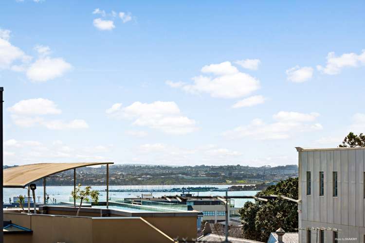 10c Birdwood Crescent Parnell_14