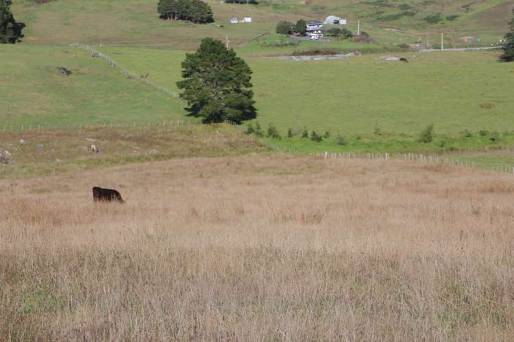 Kerr Road Parua Bay_9