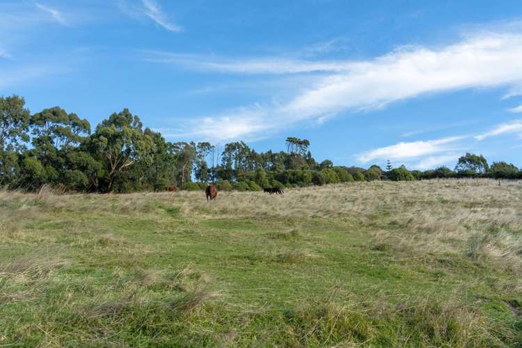 231 Huntsbury Avenue Cashmere_2