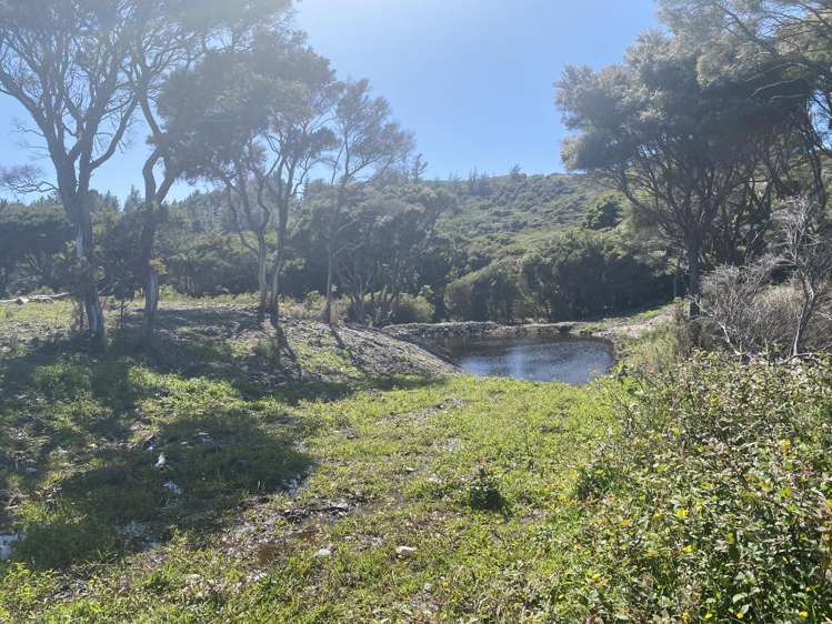 Lot 3/161 Wharariki Road Puponga_5