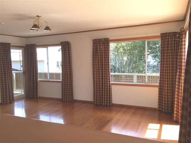 3 Brougham Street Nelson South_3