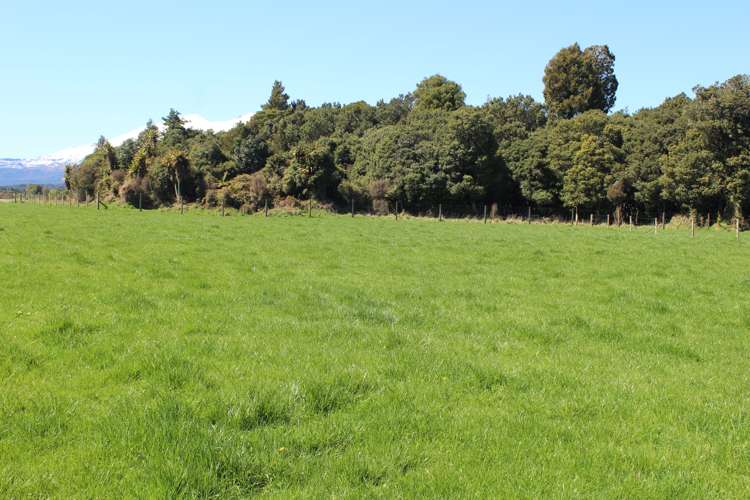 Lot 1/136 Matapuna Road Horopito_13