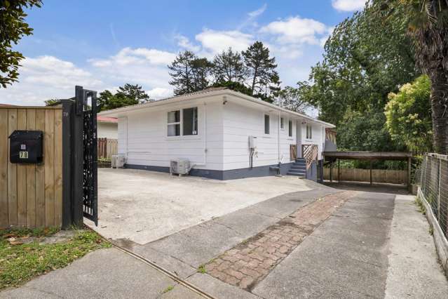 78 Helena Street Massey_2