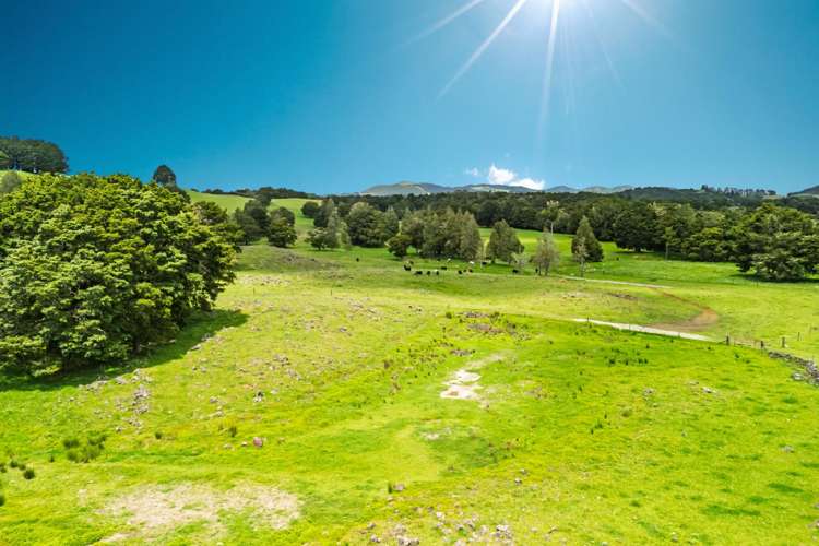 509B Mataraua Road Kaikohe_57