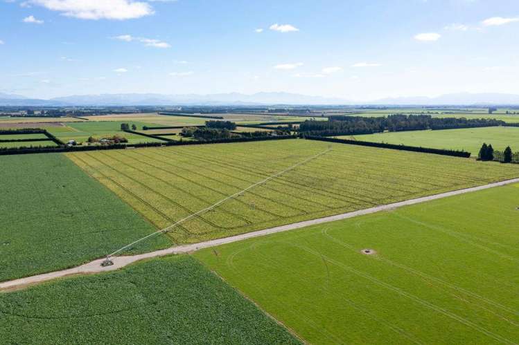 1329 Wards Road Darfield_0