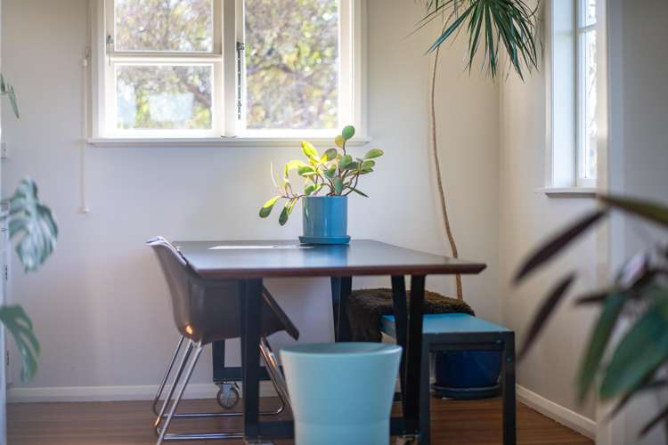 15a Hoggard Street Vogeltown_7