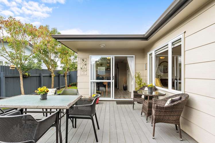 181b Georges Drive Napier South_10