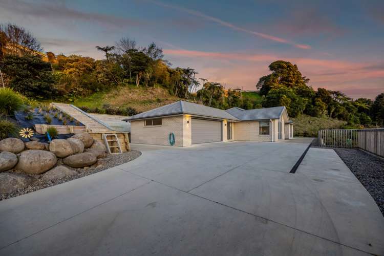 30B Sycamore Grove Lower Vogeltown_39