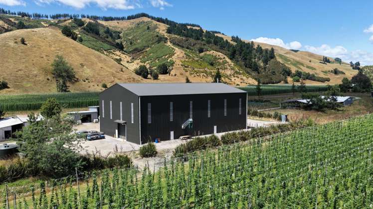 390 Tadmor Valley Road Tapawera_15