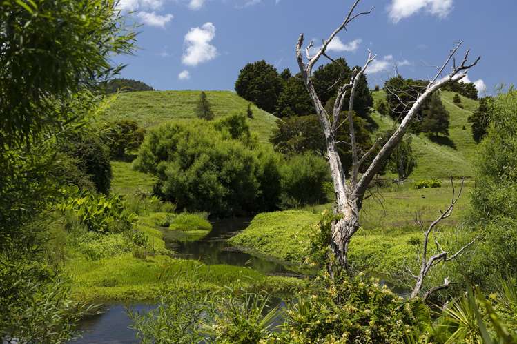 791 Fairburn Road Kaitaia Surrounds_2