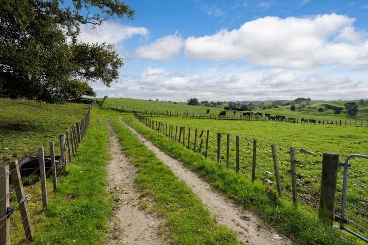 1239 Waotu Road Putaruru_20