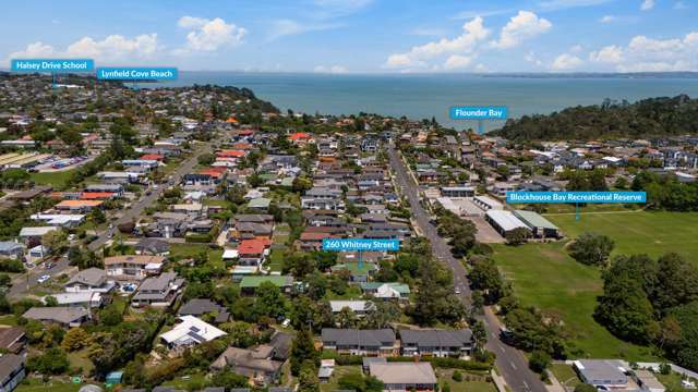 260 Whitney Street Blockhouse Bay_1