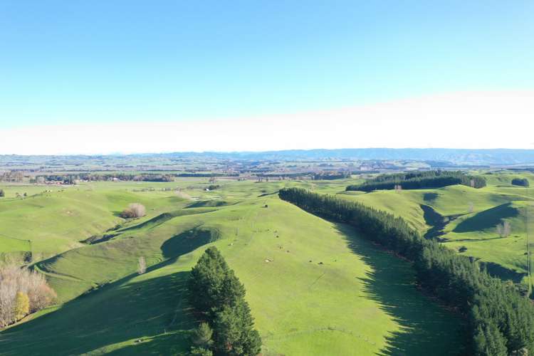 712 Matapiro Road Crownthorpe_23