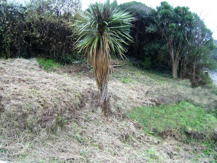 81b Jacksons Road Lyttelton_7