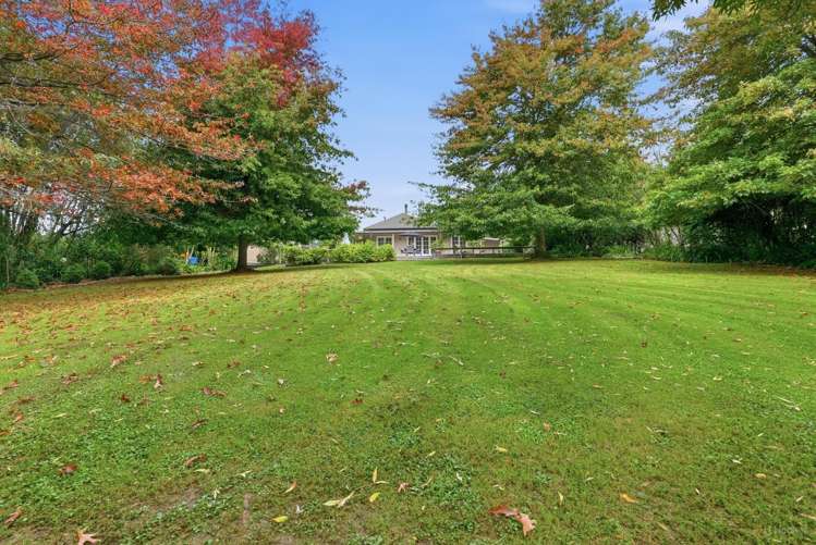 82 Pye Road Geraldine_18