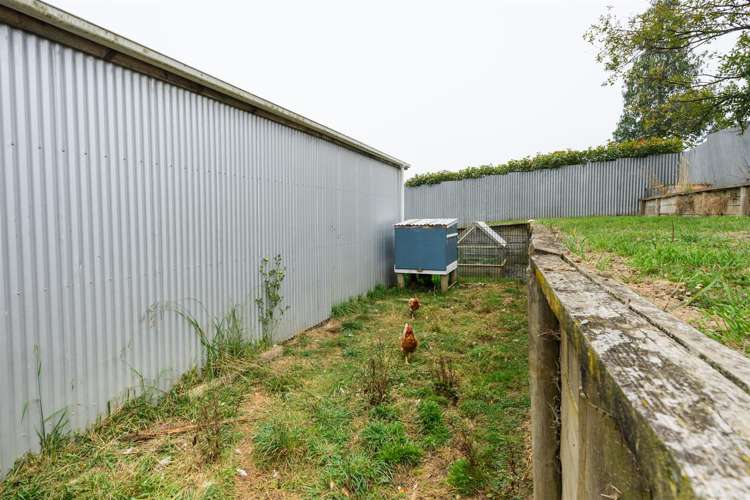 52 Hendersons Line Marton_24