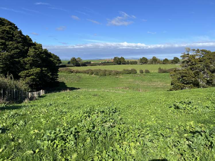 678 Waiuku Road Mauku_10