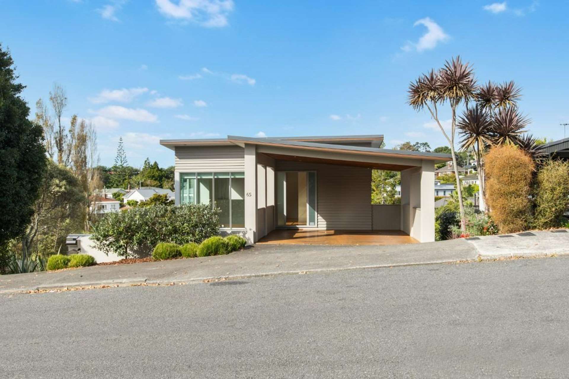 65 Ngapuhi Road Remuera_0