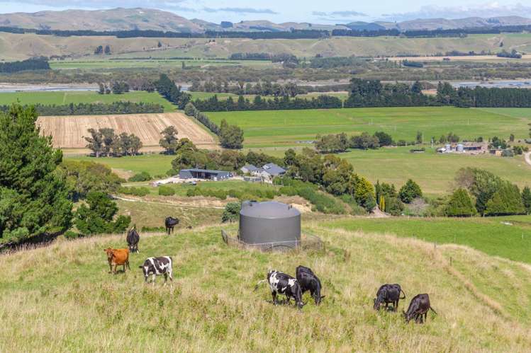 359 Hurunui Mouth Road Domett_28