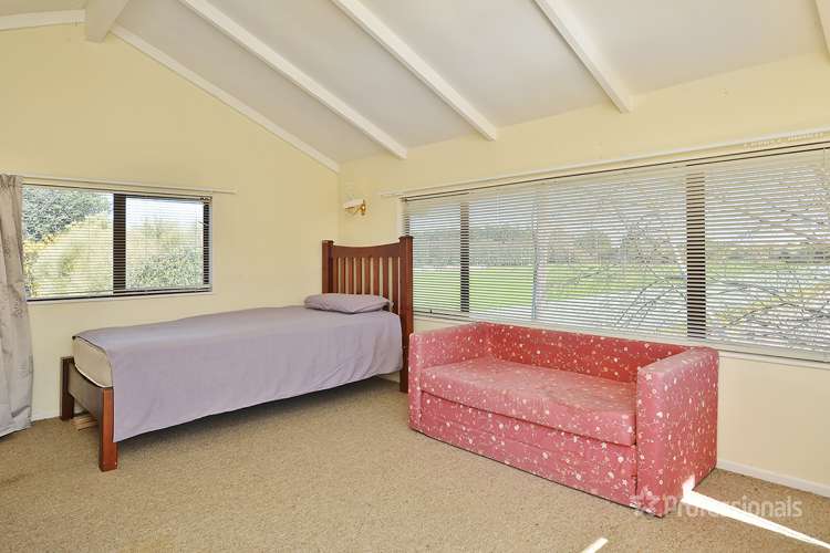 117 East Street Greytown_6