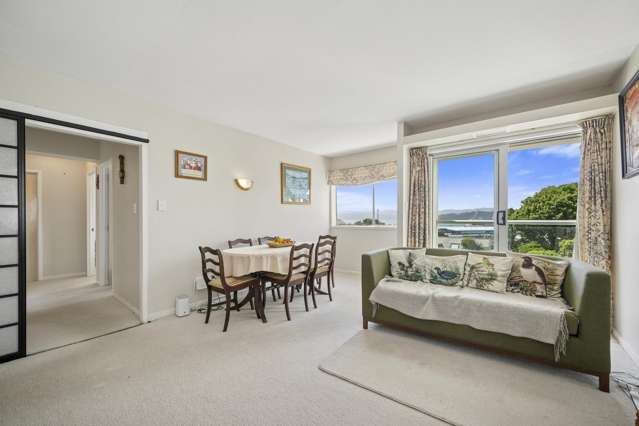 1C/19 Cottleville Terrace Thorndon_3