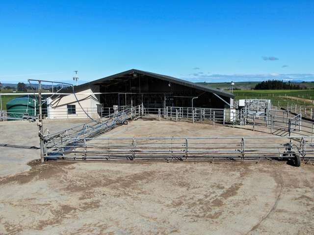 286 Feldwick Road Otautau_4