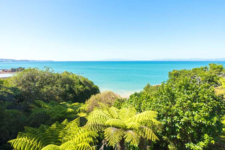 175 Howard Road Orere Point_16