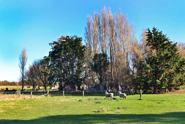 168 Timber Yard Road Leeston_20