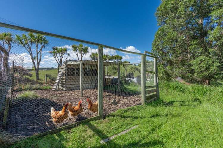 47 Big Stone Road Brighton_34