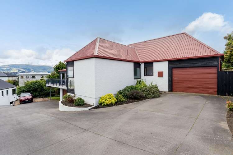 183A Scott Street Waverley_32