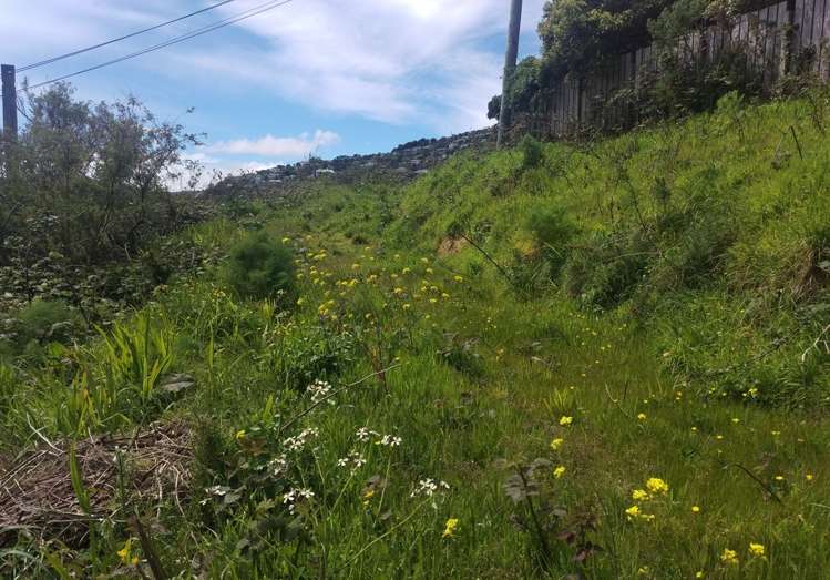 78 Curtis Street Northland_7