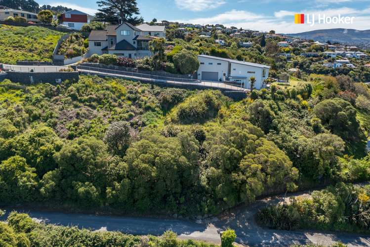 2l Clayton Street Saint Clair_5