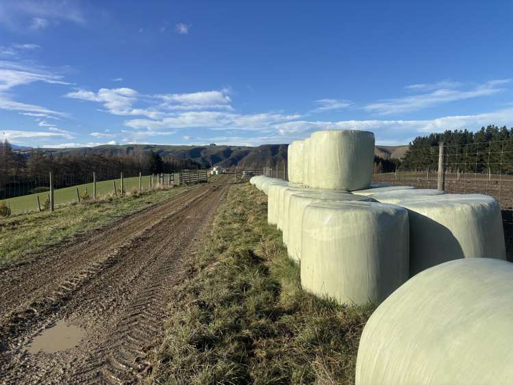 455 Albury Fairlie Road Mackenzie Country_4