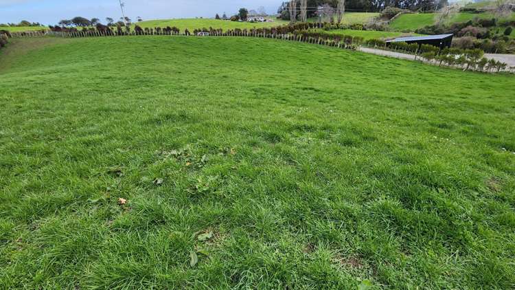 369 Tarata Road Inglewood_7