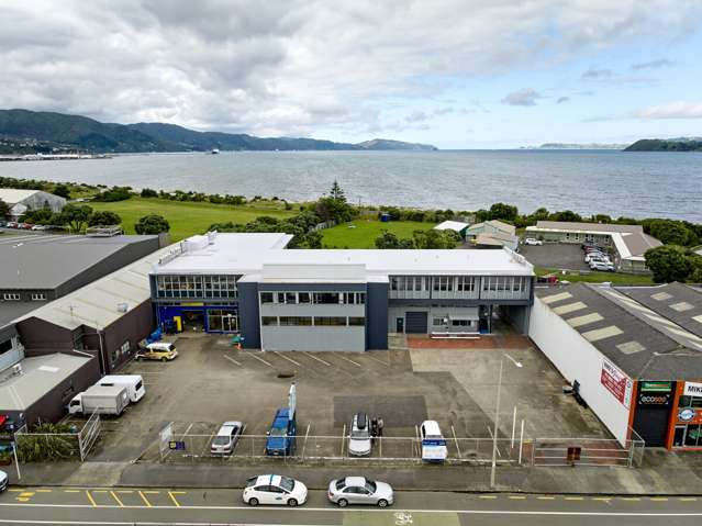 14 Waione Street Petone_1
