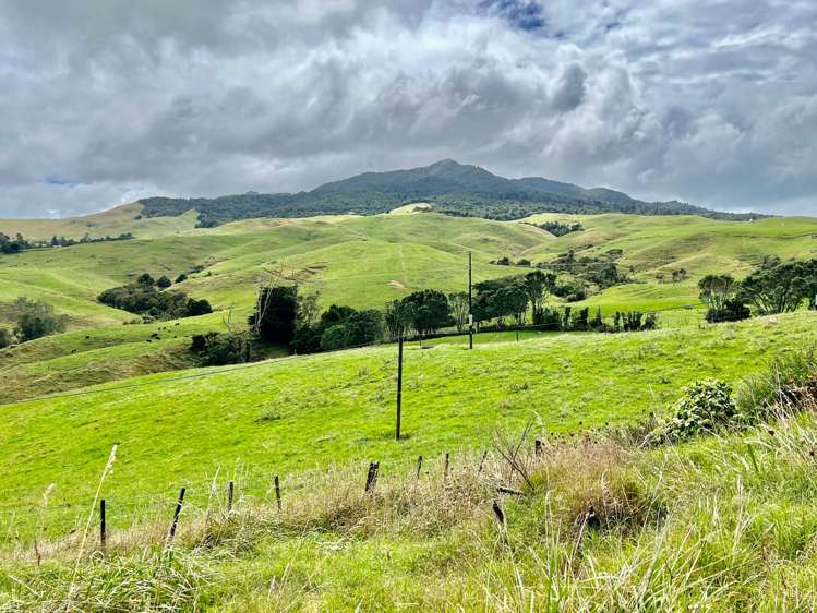 724a Ruapuke Road Raglan_54