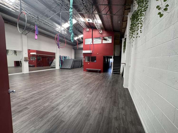 25 Carlyle Street Napier South_5