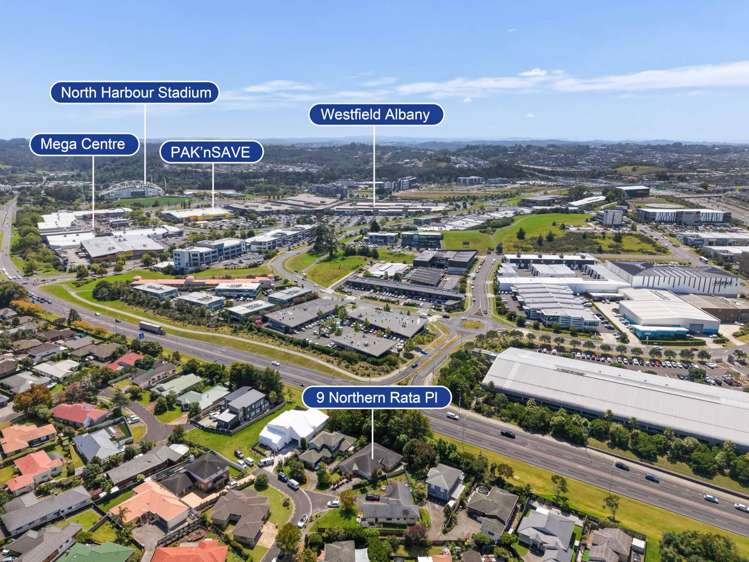 9 Northern Rata Place Albany_29