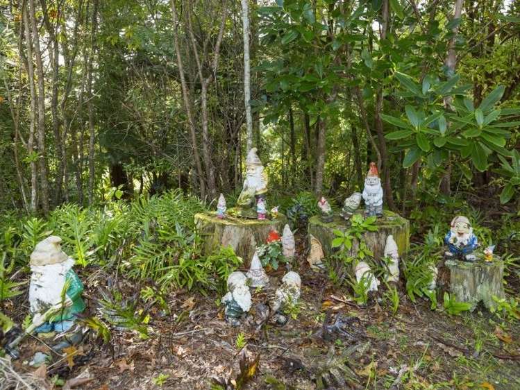 1 Freemans Way Pinehaven_10