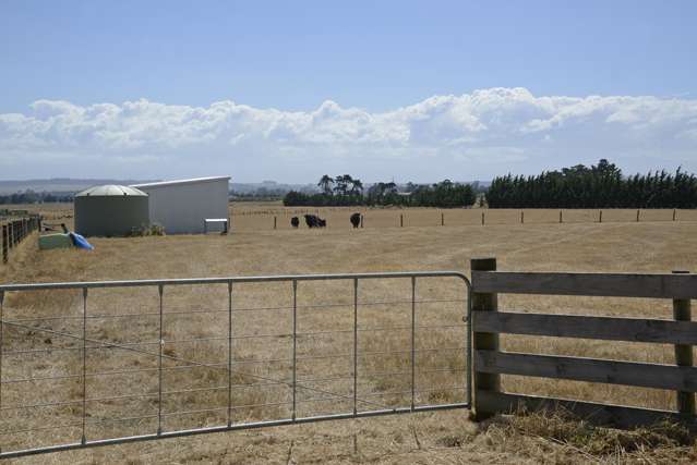 64 Fraters Road Martinborough_3