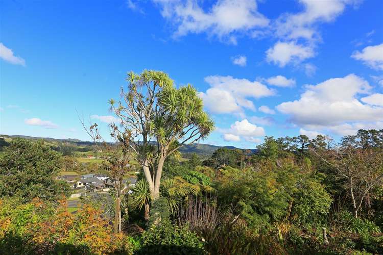 274 Sturges Road Henderson_28