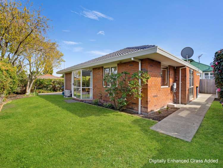 36 Palmside Street Somerfield_21