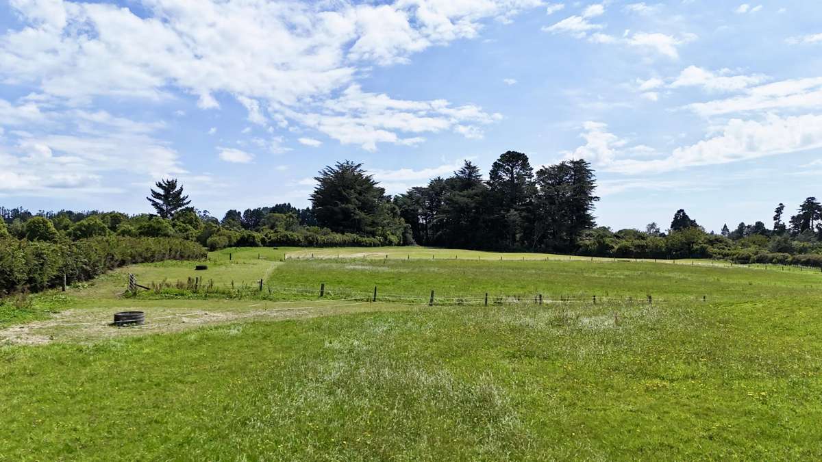 114 Dudley Road Upper_3