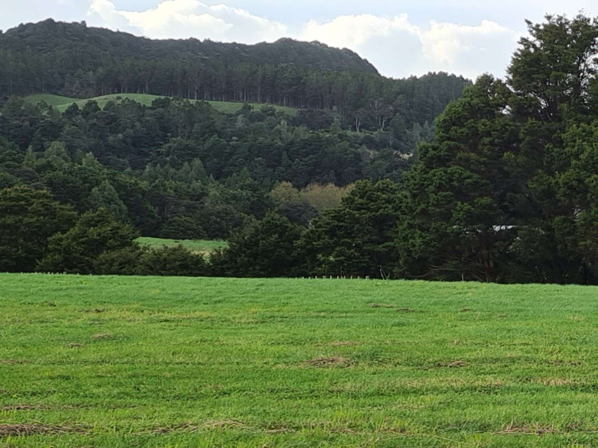 Dodd Road Maungaturoto_0