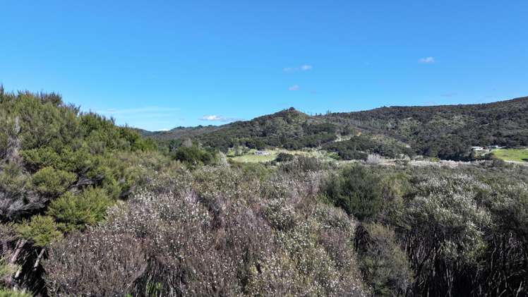 105 Frantoio Ridge Road Mangonui_4