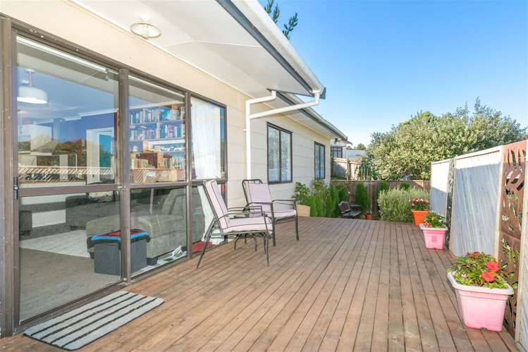210 Finch Street Te Awamutu_2