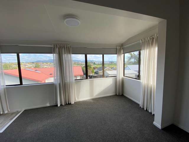 15B No 1 Road Te Puke_3