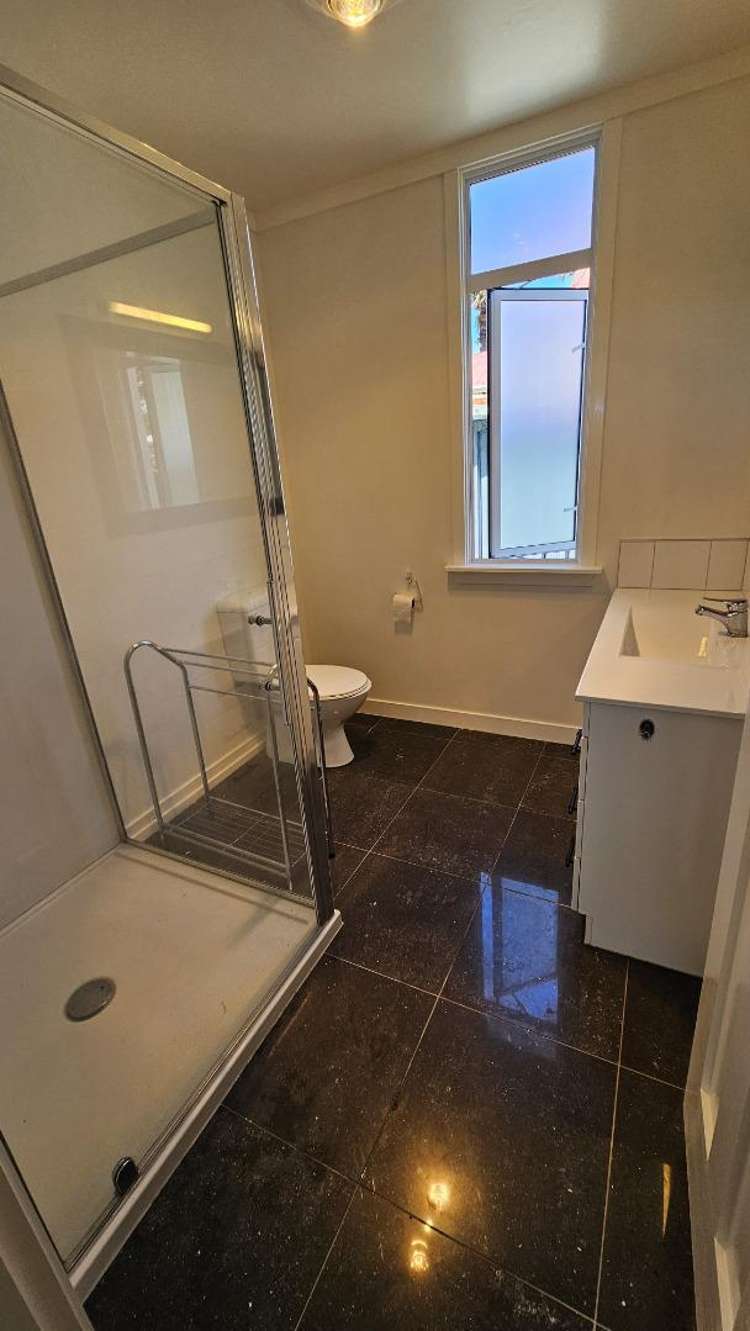 257 Carrington Street Vogeltown_7